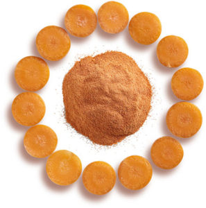 carrot slices in a circle