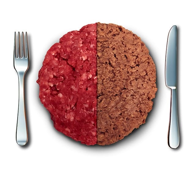 plant-based-meat-patty