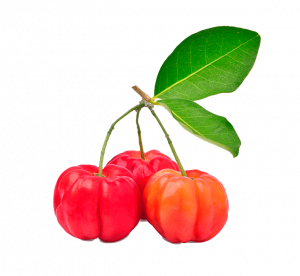 bright red acerola cherry