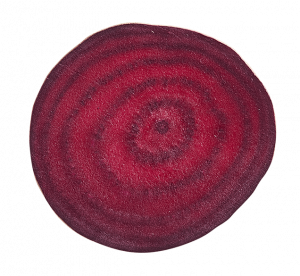 beet slice view from top