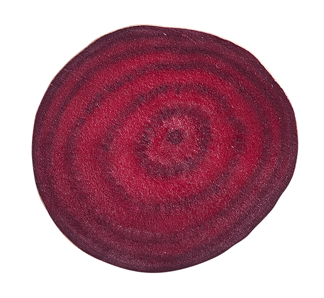 beet slice view from top