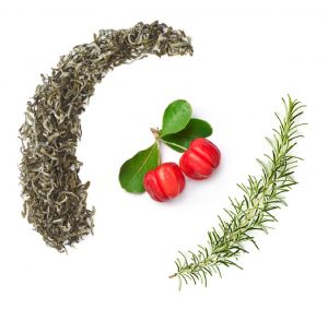 vegstable fresh rosemary and acerola